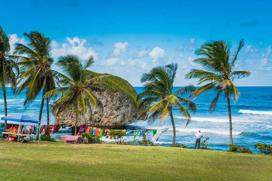 360 Degrees: Barbados Tour with Transportation