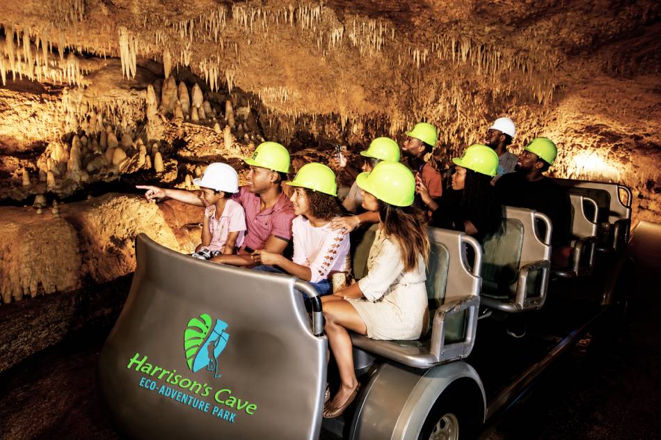 Bajan Wonders: Tour to Harrison's Cave and Mount Gay Rum with Transportation