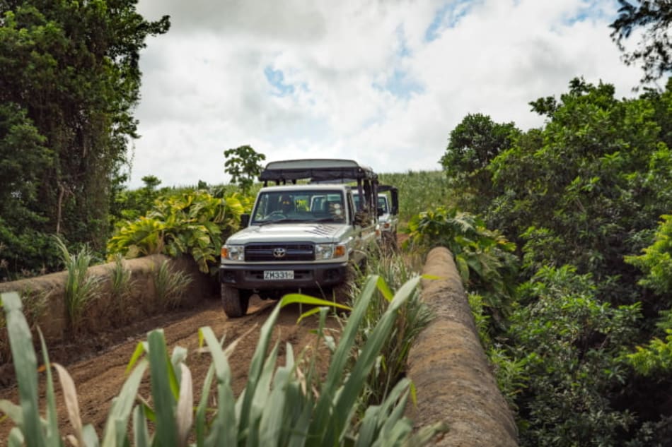 Discovery Safari: Scenic Routes and 4x4 Adventure with Transportation