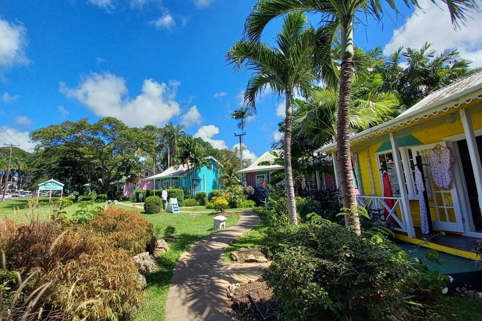 Private SunTours Special My Barbados