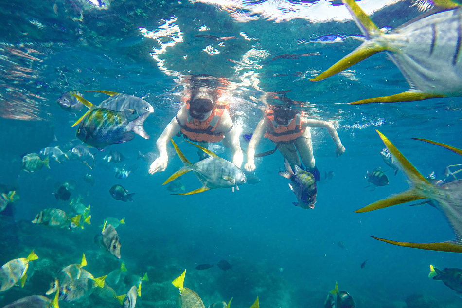 Snorkel & Sea Adventure - With Multiple Water Activities