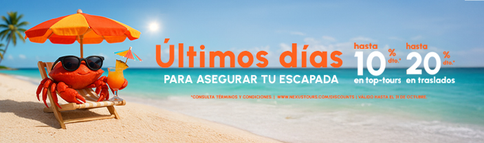 Banner Campaña