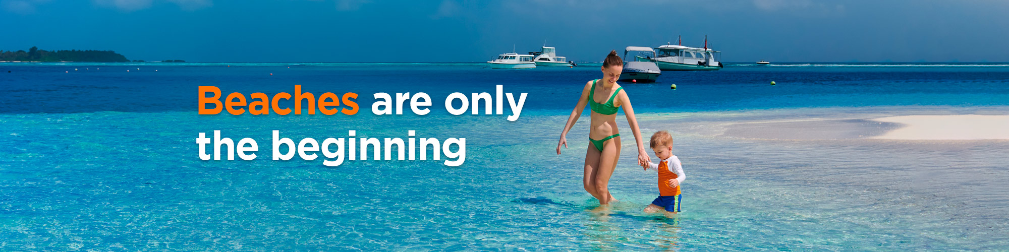 Learn about the wildlife in the Dominican Republic, as much as you want, with discounts on the best activities.