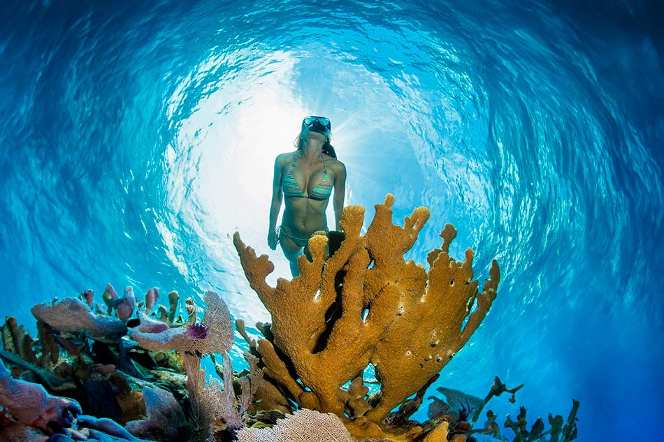 MX Cancun & Riviera Maya