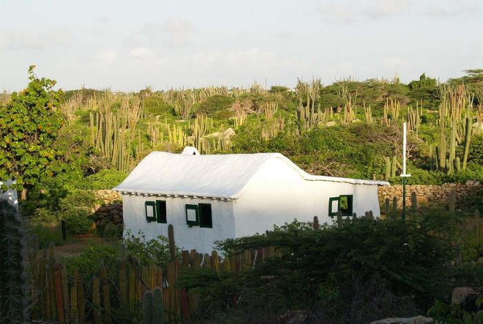 MX Cancún & Riviera Maya